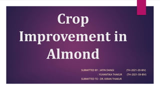 Crop
Improvement in
Almond
SUBMITTED BY : JATIN DANGI (TH-2021-20-BIV)
: YUVANTIKA THAKUR (TH-2021-59-BIV)
SUBMITTED TO : DR. KIRAN THAKUR
 