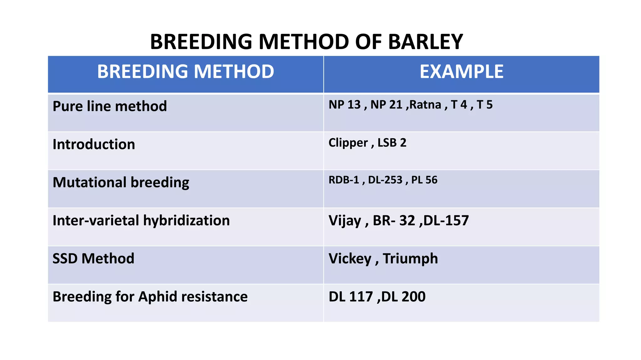 CROP IMPROVEMENT IN BARLEY.pptx