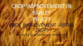 CROP IMPROVEMENT IN
BARLEY
PB-327
CROP IMPROVEMENT –II(RABI
CROP)
PRESENTED BY: SOUMYASHREE PRIYADARSHI
 