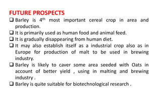 CROP IMPROVEMENT IN BARLEY.pptx