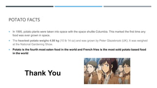 POTATO FACTS
 In 1995, potato plants were taken into space with the space shuttle Columbia. This marked the first time any
food was ever grown in space.
 The heaviest potato weighs 4.98 kg (10 lb 14 oz) and was grown by Peter Glazebrook (UK). It was weighed
at the National Gardening Show.
 Potato is the fourth most eaten food in the world and French fries is the most sold potato based food
in the world
Thank You
 