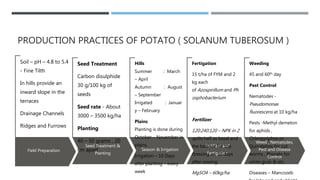 Field Preparation
Soil – pH – 4.8 to 5.4
- Fine Tilth
In hills provide an
inward slope in the
terraces
Drainage Channels
Ridges and Furrows
Seed Treatment &
Planting
Seed Treatment
Carbon disulphide
30 g/100 kg of
seeds
Seed rate - About
3000 – 3500 kg/ha
Planting
40 – 50 grams , 20
cm apart Season & Irrigation
Hills
Summer : March
– April
Autumn : August
– September
Irrigated : Januar
y – February
Plains
Planting is done during
October – November in
plains.
Irrigation – 10 Days
after planting – every
week
Fertilizer and
Fertigation
Fertigation
15 t/ha of FYM and 2
kg each
of Azospirillum and Ph
osphobacterium
Fertilizer
120:240:120 – NPK in 2
splits half as basal and
the balance for top
dressing on 30 days
after sowing
MgSO4 – 60kg/ha
Weed , Nematodes,
Pest and Disease
Control
Weeding
45 and 60th day
Pest Control
Nematodes -
Pseudomonas
fluorescens at 10 kg/ha
Pests -Methyl demeton
for aphids ,
Chlorpyriphos or
Quinalphos for cut
worms , Phorate for
white grub & etc.
Diseases – Mancozeb
PRODUCTION PRACTICES OF POTATO ( SOLANUM TUBEROSUM )
 