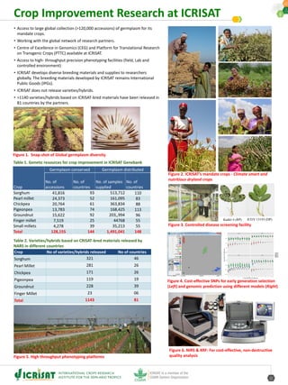 Figure 2. ICRISAT’s mandate crops - Climate smart and
nutritious dryland crops
• Access to large global collection (>120,000 accessions) of germplasm for its
mandate crops.
• Working with the global network of research partners.
• Centre of Excellence in Genomics (CEG) and Platform for Translational Research
on Transgenic Crops (PTTC) available at ICRISAT.
• Access to high- throughput precision phenotyping facilities (field, Lab and
controlled environment)
• ICRISAT develops diverse breeding materials and supplies to researchers
globally. The breeding materials developed by ICRISAT remains International
Public Goods (IPGs).
• ICRISAT does not release varieties/hybrids.
• >1140 varieties/hybrids based on ICRISAT-bred materials have been released in
81 countries by the partners.
Crop No of varieties/hybrids released No of countries
Sorghum 321 46
Pearl Millet 281 26
Chickpea 171 26
Pigeonpea 119 19
Groundnut 228 39
Finger Millet 23 06
Total 1143 81
Crop
Germplasm conserved Germplasm distributed
No. of
accessions
No. of
countries
No. of samples
supplied
No. of
countries
Sorghum 41,816 93 513,712 110
Pearl millet 24,373 52 161,095 83
Chickpea 20,764 61 363,834 88
Pigeonpea 13,783 74 168,425 113
Groundnut 15,622 92 203,,994 96
Finger millet 7,519 25 44768 55
Small millets 4,278 39 35,213 55
Total 128,155 144 1,491,041 148
Table 1. Genetic resources for crop improvement in ICRISAT Genebank
Table 2. Varieties/hybrids based on CRISAT-bred materials released by
NARS in different countries
Figure 4. Cost-effective SNPs for early generation selection
(Left) and genomic prediction using different models (Right)
Figure 1. Snap-shot of Global germplasm diversity
Figure 5. High throughput phenotyping platforms
Figure 3. Controlled disease screening facility
June
2018
Figure 6. NIRS & XRF: For cost-effective, non-destructive
quality analysis
Crop Improvement Research at ICRISAT
 