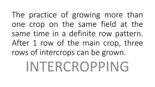 croping patterns.pptx
