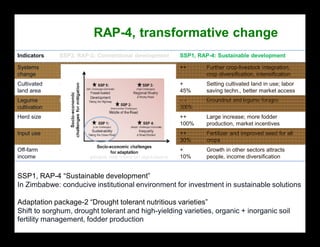 Crop livestock farming systems research in semi-arid southern Africa II