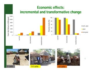Crop livestock farming systems research in semi-arid southern Africa II