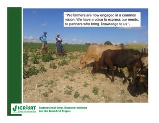 Crop livestock farming systems research in semi-arid southern Africa II