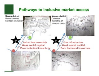 Crop livestock farming systems research in semi-arid southern Africa II