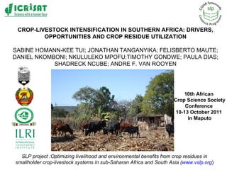 CROP-LIVESTOCK INTENSIFICATION IN SOUTHERN AFRICA: DRIVERS, OPPORTUNITIES AND CROP RESIDUE UTILIZATION SABINE HOMANN-KEE TUI; JONATHAN TANGANYIKA; FELISBERTO MAUTE; DANIEL NKOMBONI; NKULULEKO MPOFU;TIMOTHY GONDWE; PAULA DIAS; SHADRECK NCUBE; ANDRE F. VAN ROOYEN SLP project :Optimizing livelihood and environmental benefits from crop residues in smallholder crop-livestock systems in sub-Saharan Africa and South Asia ( www.vslp.org ) 10th African  Crop Science Society Conference  10-13 October 2011  in  Maputo 
