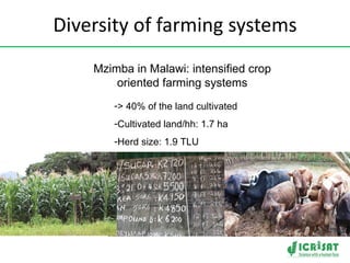 Crop-livestock intensification in Southern Africa: Drivers, opportunities and crop residue utilization