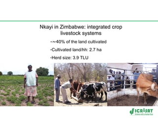 Crop-livestock intensification in Southern Africa: Drivers, opportunities and crop residue utilization