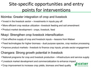Crop-livestock intensification in Southern Africa: Drivers, opportunities and crop residue utilization
