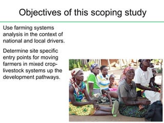 Objectives of this scoping study Use farming systems analysis in the context of national and local drivers. Determine  sit...