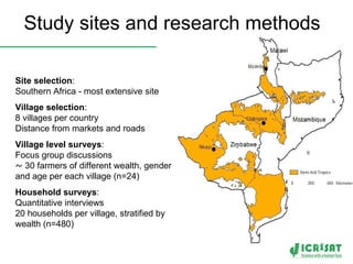 Crop-livestock intensification in Southern Africa: Drivers, opportunities and crop residue utilization