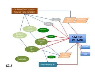 Crop-livestock integration and intensification