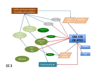 Crop-livestock integration and intensification