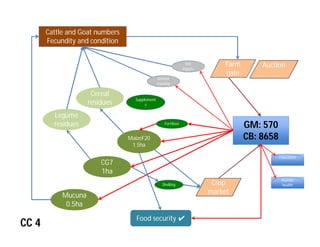 Crop-livestock integration and intensification