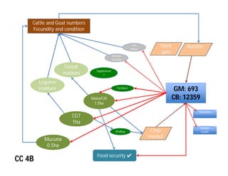 Crop-livestock integration and intensification