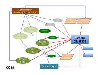 Crop-livestock integration and intensification