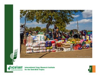 Crop-livestock integration and intensification