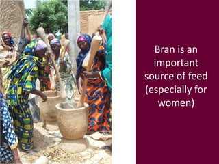 Crop-livestock systems in West Africa: Update on past work