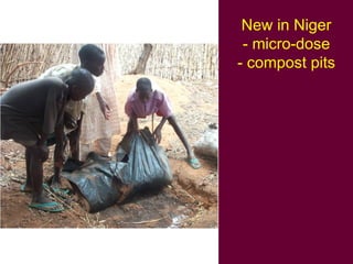 Crop-livestock systems in West Africa: Update on past work