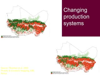 Crop-livestock systems in West Africa: Update on past work