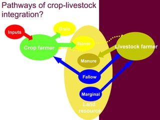 Crop-livestock systems in West Africa: Update on past work