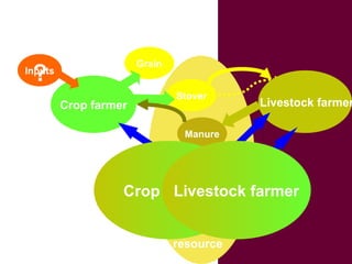Crop-livestock systems in West Africa: Update on past work