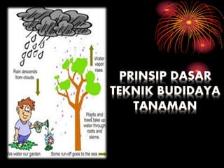 PRINSIP DASAR
TEKNIK BUDIDAYA
TANAMAN
 