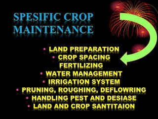 Teknik Budidaya Tanaman - Crop maintenance