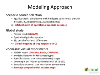 Modeling Approach
Scenario source selection
   – Quality check: simulations with hindcasts vs historical climate
   – Present, 2030 pessimistic, 2030 optimistic?
   => Establishment of operational scenario database

Global study
   – Simple model (GLAM)
   – Spatialized gridded approach
   – No detail of varietal differences
   => Global mapping of crop response to CC

Zoom-ins: virtual experiments
   –   GxExM model (SAMARA, RIDEV, CROPGRO…)
   –   Model calibration for key varietal types
   –   Identification of trait (crop parameter) ranges
   –   Zooming in on TPEs for each crop (Total of 10-12?)
   –   Sensitivity analyses: trait variation vs environment
       Ideotype composition for adapted crops
 