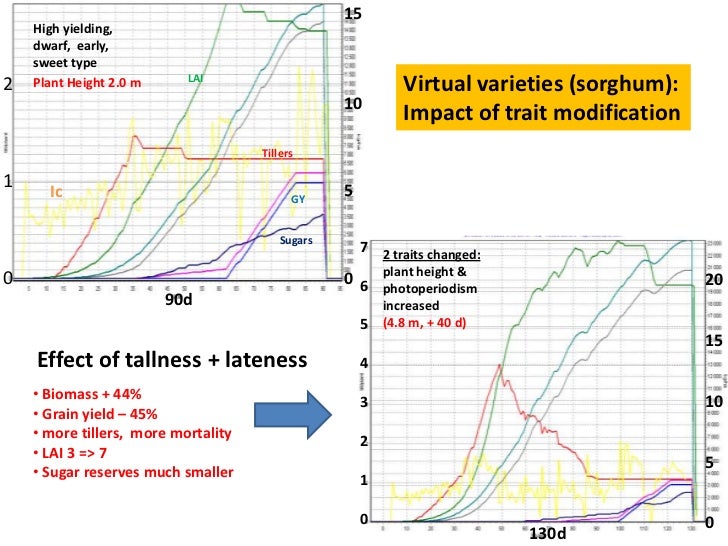 Crop modelling approach