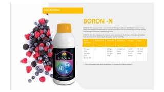 Nitrogen
10%
Calcium
15%
Boron 3%
Crop Nutrition
Crop Nutrition
Active
Ingredient
Formulation Packaging Application Dosage Crops
Nitrogen
10%
Calcium
15%
Boron 3%
L 100 gm
250 gm
500 gm
1 kg
Fertigation
Foliar
Spray
1.5ml-
5ml per
ltr of
water
All Fruit
Variety
crops
BORON -N
 