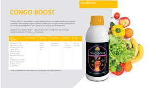 Active
Ingredient
Formulation Packaging Application Dosage Crops
Nitrogen(13.2%)
Potassium(13.2%)
Phosphorus(13.2%)
Iron(0.10%),
Copper(0.10%),
Boron(0.20%),
Molybdenum(0.003
%),
Manganese(0.20%)M
agnesium(0.10%)Zinc
(0.20%), Amino
acid(6.80%)
L 100ml
250ml
500ml
1ltr
Fertigation
Foliar spray
1.5ml-
2.5ml per
ltr of water
All crop
varieties
Crop Nutrition
CONGO BOOST
 
