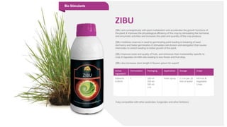 ZIBU
Active
Ingredient
Formulation Packaging Application Dosage Crops
Gibberlic
0.001%
L 100 ml
250 ml
500 ml
1 ltr
Foliar spray 1.5 ml per 10
litre of water
All Fruit &
Vegetable
Crops
 