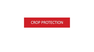 CROP PROTECTION
 