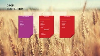 Bio Pesticide Fungicide
Viserys
Azor
Nymasys
Cropnova
Angola
Latifa
Mahivay
Neymar
Pablo
Herbicide
Basco
Cropmeta
Insecticide
Hitmaster
Chivas FS
Choker
Hector
Zumba
Crop
protection
 