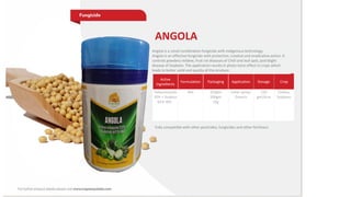 Active
Ingredients
Formulation Packaging Application Dosage Crop
Tebuconazole
10% + Sulphur
65% WG
WG 250gm
500gm
1Kg
Foliar spray/
Drench
250
gm/Acre
Chillies,
Soybean
ANGOLA
Angola is a novel combination fungicide with indigenous technology.
Angola is an effective fungicide with protective, creative and eradicative action. It
controls powdery mildew, fruit rot diseases of Chilli and leaf spot, pod blight
disease of Soybean. The application results in phyto-tonic effect in crops which
leads to better yield and quality of the produce.
Fully compatible with other pesticides, fungicides and other fertilizers
 