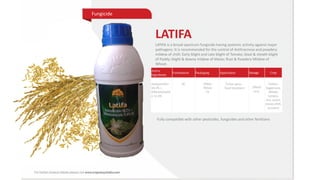 Active
Ingredients
Formulation Packaging Application Dosage Crop
Azoxystrobin
18.2% +
Difenoconazol
e 11.4%
SC 200ml
500ml
1lt
Foliar spray,
Seed treatment 200ml/
acre
Cotton,
Sugarcane,
Wheat,
tomato,
rice, onion,
maize,chilli,
turmeric
LATIFA
LATIFA is a broad-spectrum fungicide having systemic activity against major
pathogens. It is recommended for the control of Anthracnose and powdery
mildew of chilli; Early blight and Late blight of Tomato; blast & sheath blight
of Paddy; blight & downy mildew of Maize; Rust & Powdery Mildew of
Wheat.
Fully compatible with other pesticides, fungicides and other fertilizers
Fungicide
 