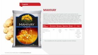 MAHIVAY
MAHIVAY is a systemic and contact fungicide used for seed treatment for the
effective control of tikka leaf spot, collar rot and dry root rot diseases of Groundnut,
Blast on Paddy, Early blight, Late blight, black scurf on Potato, Blister blight, Grey
blight, Red rust, Dieback, Black rot on Tea, Downey mildew, Powdery mildew &
Anthracnose on Grape, Powdery mildew & Anthracnose on Mango, Leaf spot, fruit
rot and Powdery mildew on Chilli, Downey mildew & leaf blight on Maize, Fruit scab
& Powdery mildew on Apple and Tikka leaf spot, Collar rot and Dry root rot on
Groundnut.
Active
Ingredients
Formulation Packaging Application Dosage Crop
Carbendazim
12% +Mancozeb
63%
WP 250gm
500gm
1kg
Foliar 500gm/acre Grapes,
Mango,
Potato, Tea,
Paddy, Maize,
Chilli,
Groundnut,
Apple
Fully compatible with other pesticides, fungicides and other fertilizers
 