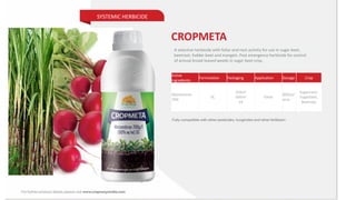 SYSTEMIC HERBICIDE
A selective herbicide with foliar and root activity for use in sugar beet,
beetroot, fodder beet and mangels. Post emergence herbicide for control
of annual broad-leaved weeds in sugar beet crop.
Active
Ingredients
Formulation Packaging Application Dosage Crop
Metamitron
70%
SC
250ml
500ml
1lt
Foliar
600ml/
acre
Sugarcane,
Sugarbeet,
Beetroot
CROPMETA
 