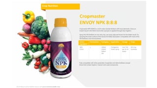 Cropmaster
ENVOY NPK 8:8:8
Active
Ingredient
Formulation Packaging Application Dosage Crops
NPK
8-8-8
L 100ml
250ml
500ml
1ltr
Fertigation
Foliar spray
5ml-7ml
per ltr of
water
All Crop
Varieties
Crop Nutrition
 