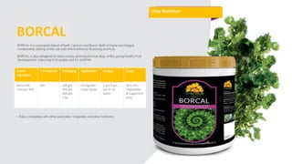 Crop Nutrition
Crop Nutrition
BORCAL
Active
Ingredient
Formulation Packaging Application Dosage Crops
Boron 4%
Calcium 30%
WP 100 gm
250 gm
500 gm
1 kg
Fertigation
Foliar Spray
2 gm-5 gm
per ltr of
water
All Fruits,
Vegetables
& Sugarcane
crop
 