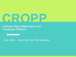 CROPPColtures Risks Observation and
Prevention Platform
Crop Alert – Learning From The Growers
 