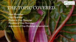 THE TOPIC COVERED:
2
 Plant Physiology
 Crop Physiology
 Process in Crop Physiology
 Functions of Crop Physiology
 Importance of Crop Physiology in Agriculture
 