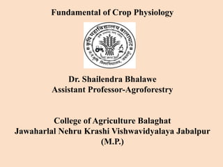 Fundamental of Crop Physiology
Dr. Shailendra Bhalawe
Assistant Professor-Agroforestry
College of Agriculture Balaghat
Jawaharlal Nehru Krashi Vishwavidyalaya Jabalpur
(M.P.)
 