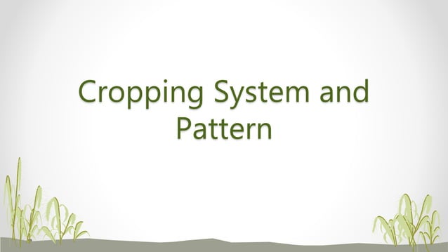 Cropping Pattern Pptx Cropping Pattern Pptx
