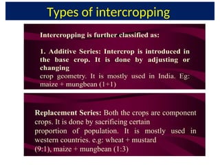 Types of intercropping
 