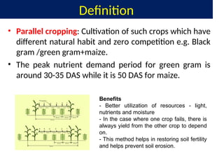 Definition
• Parallel cropping: Cultivation of such crops which have
different natural habit and zero competition e.g. Black
gram /green gram+maize.
• The peak nutrient demand period for green gram is
around 30-35 DAS while it is 50 DAS for maize.
Benefits
- Better utilization of resources - light,
nutrients and moisture
- In the case where one crop fails, there is
always yield from the other crop to depend
on.
- This method helps in restoring soil fertility
and helps prevent soil erosion.
 